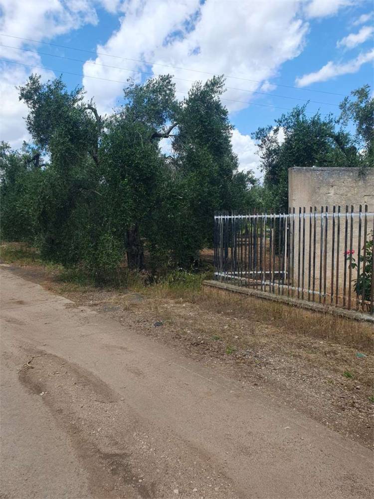 immagine annuncio 4 di 9