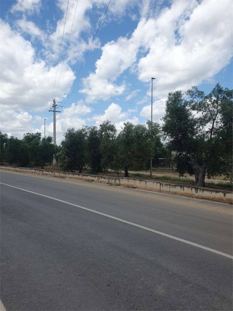 immagine annuncio 5 di 9