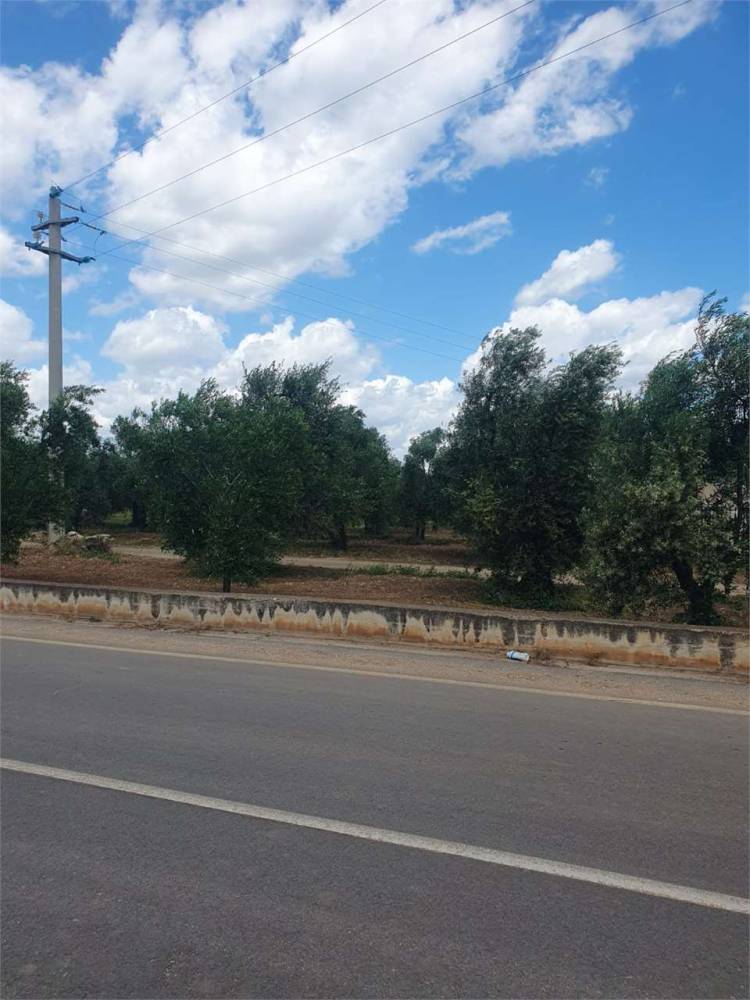 immagine annuncio 6 di 9