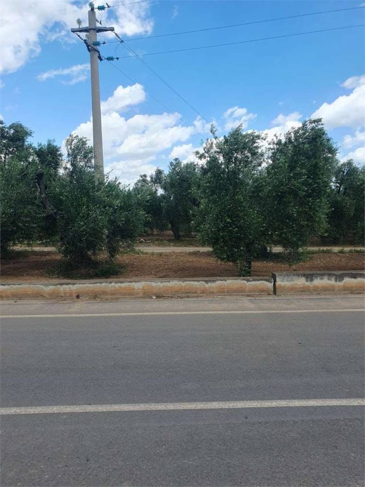 immagine annuncio 7 di 9