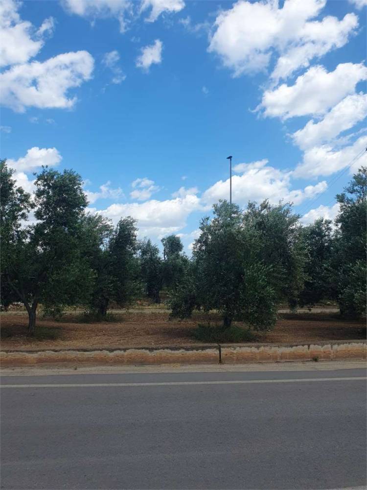 immagine annuncio 8 di 9