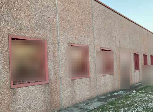 immagine annuncio 3 di 12