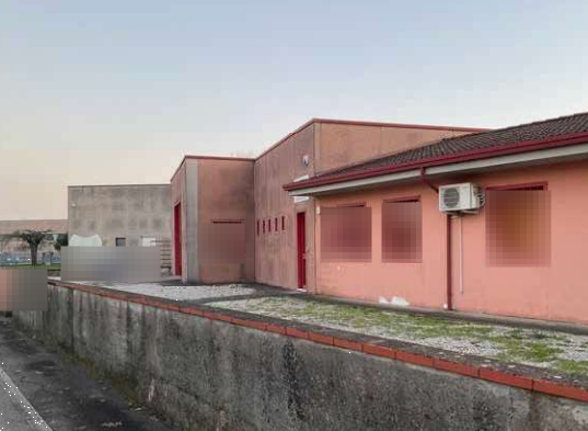 immagine annuncio 2 di 12