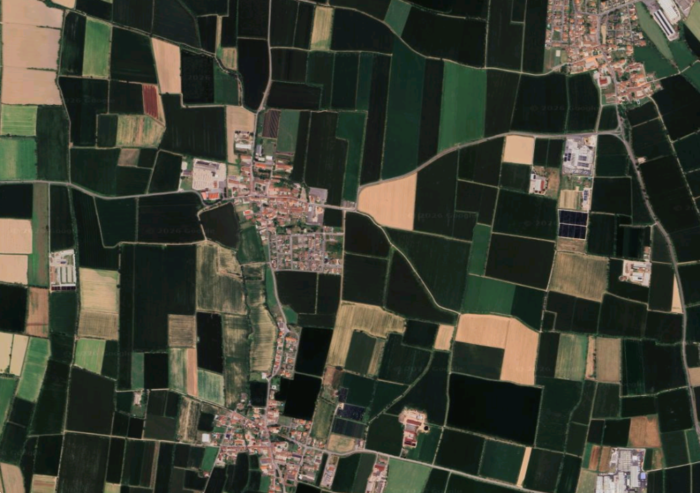 immagine annuncio 5 di 13