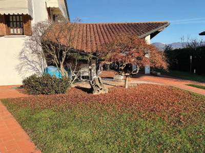 immagine annuncio 6 di 13