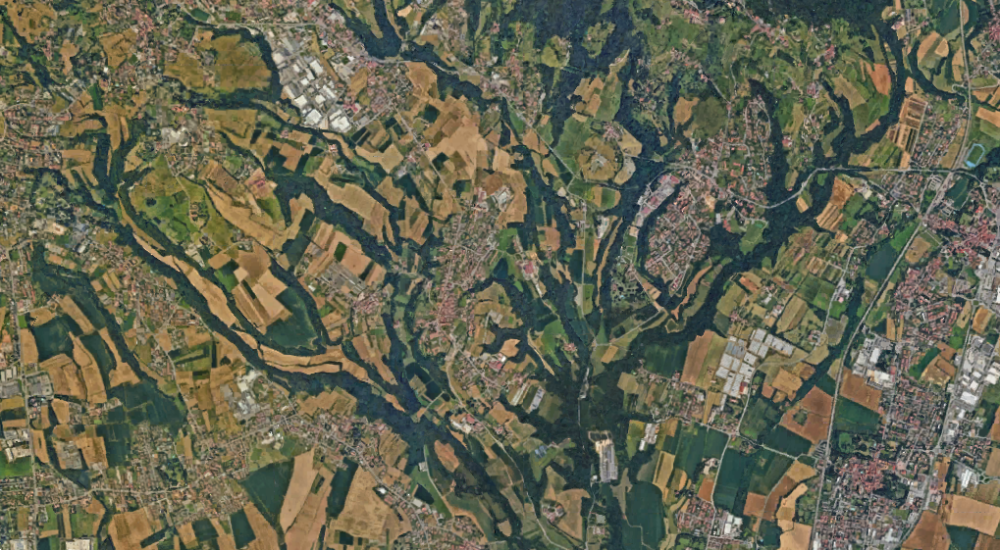 immagine annuncio 6 di 13