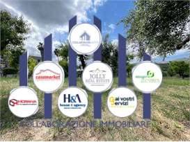 immagine annuncio 10 di 13