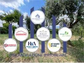 immagine annuncio 11 di 13