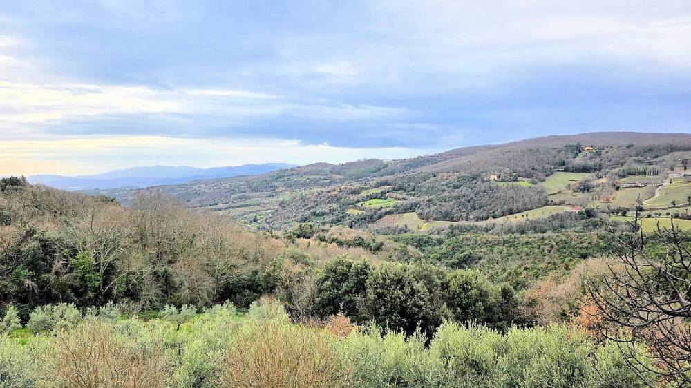 immagine annuncio 4 di 13