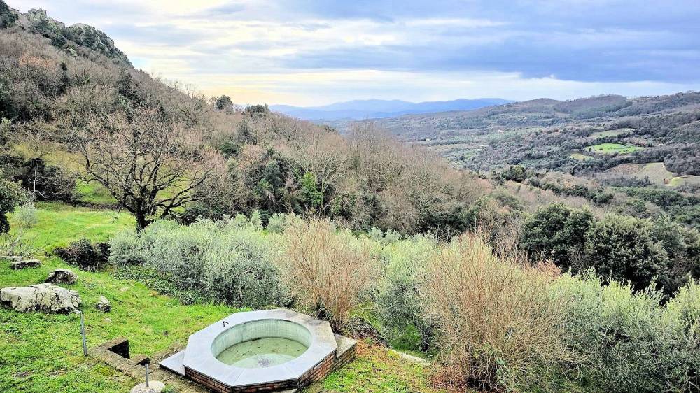 immagine annuncio 6 di 13