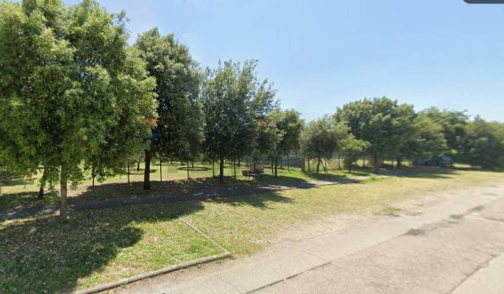 immagine annuncio 4 di 13