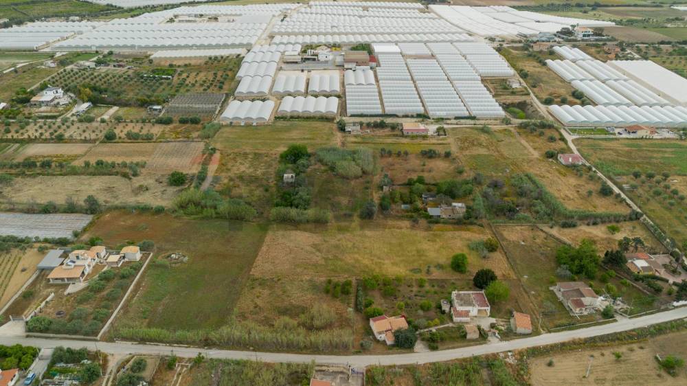 immagine annuncio 2 di 6