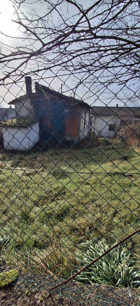 immagine annuncio 3 di 6