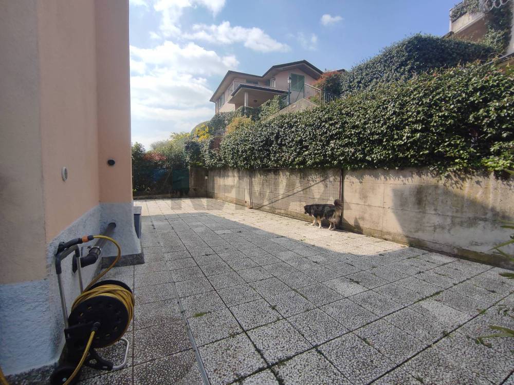 immagine annuncio 11 di 13