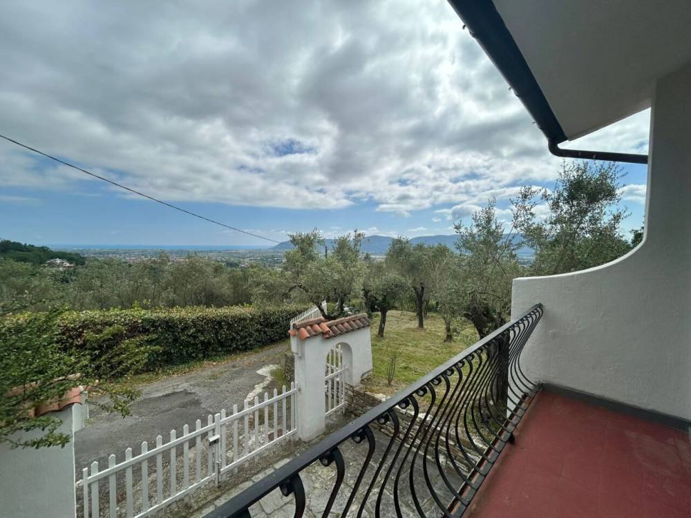 immagine annuncio 5 di 13