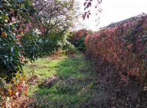 immagine annuncio 10 di 13