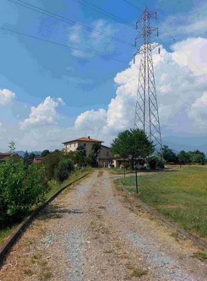 immagine annuncio 11 di 13