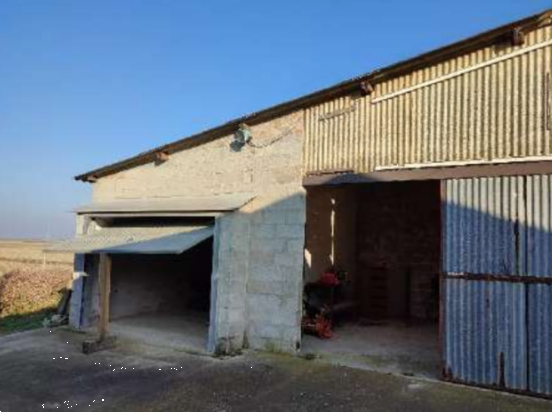 immagine annuncio 6 di 13