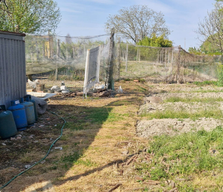 immagine annuncio 7 di 13