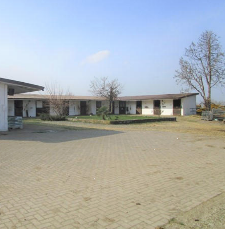 immagine annuncio 2 di 13