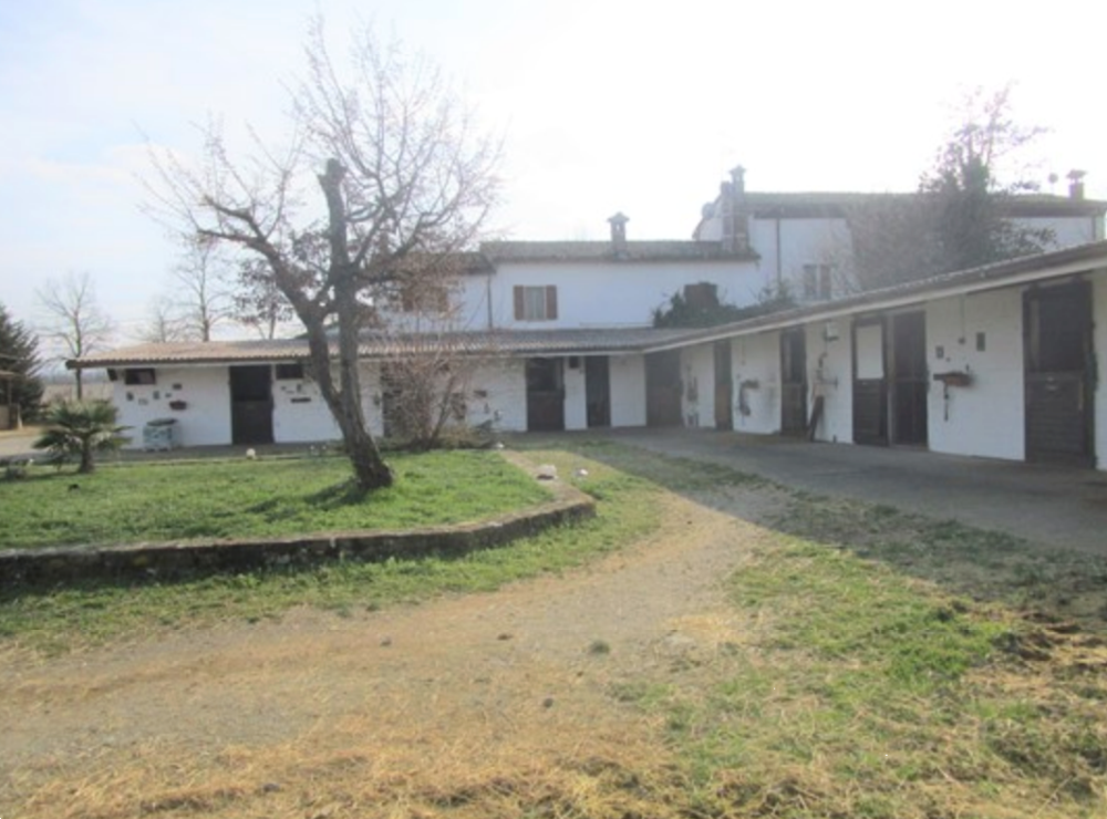 immagine annuncio 3 di 13