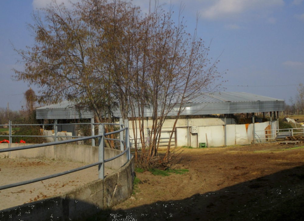 immagine annuncio 5 di 13