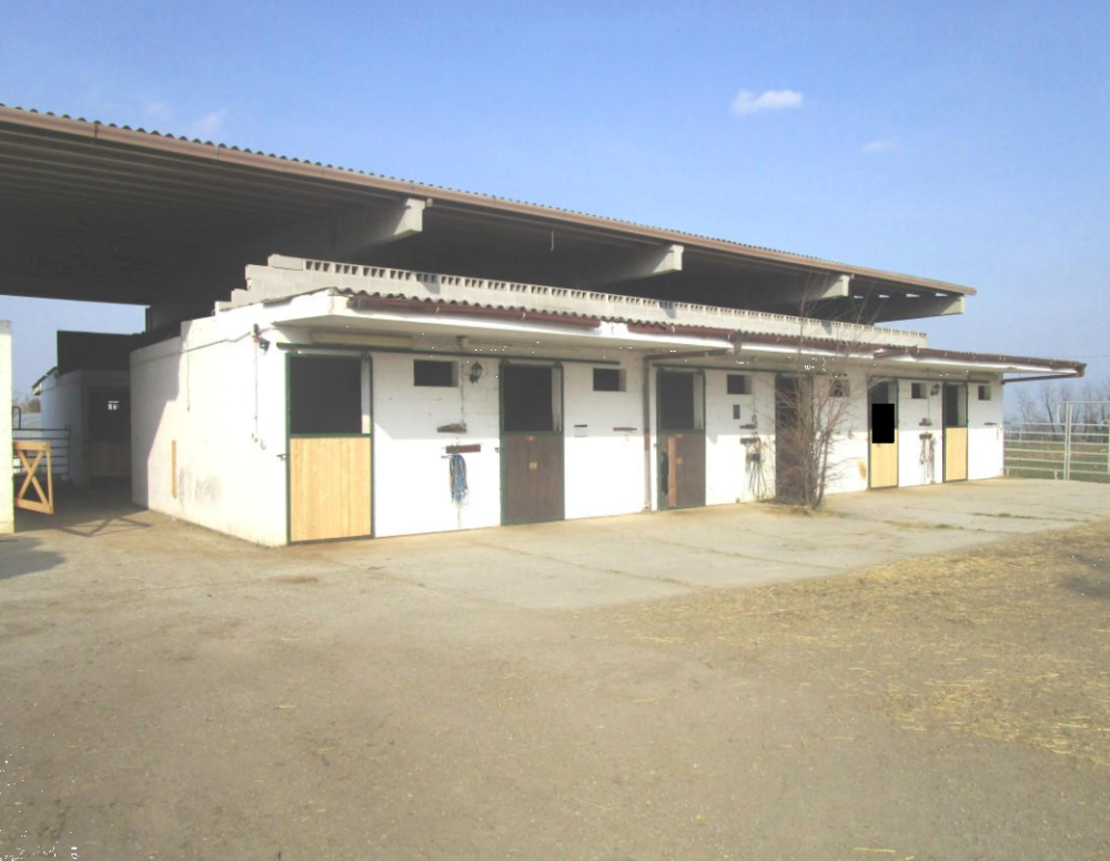 immagine annuncio 6 di 13