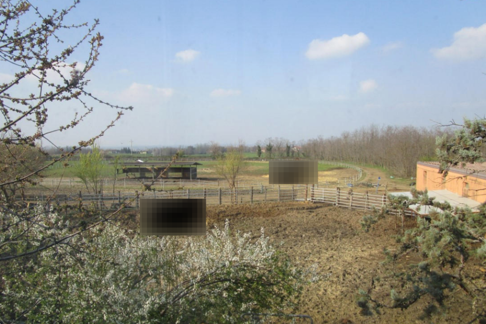 immagine annuncio 7 di 13