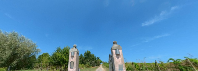 immagine annuncio 2 di 13