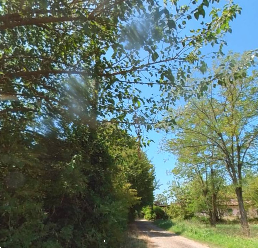 immagine annuncio 3 di 13