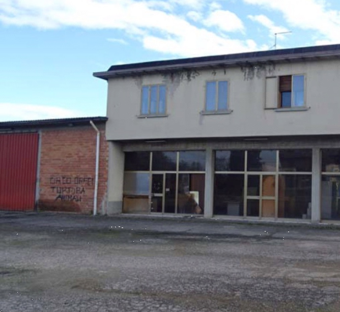 immagine annuncio 1 di 13