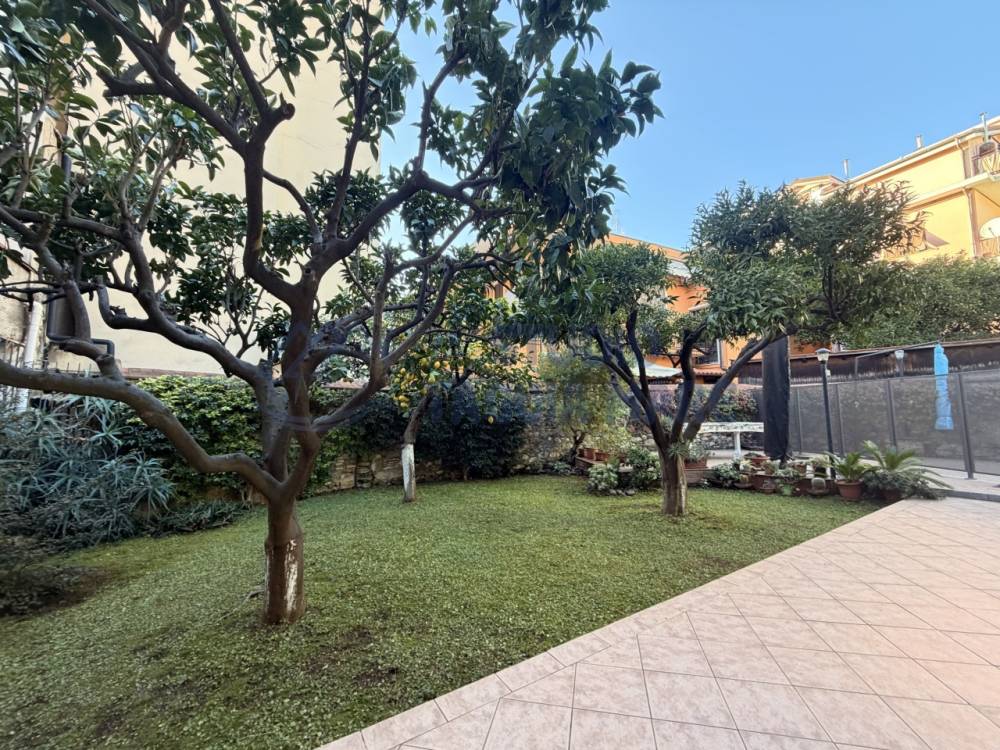 immagine annuncio 11 di 13