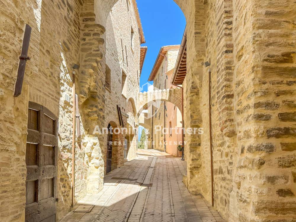 immagine annuncio 3 di 13