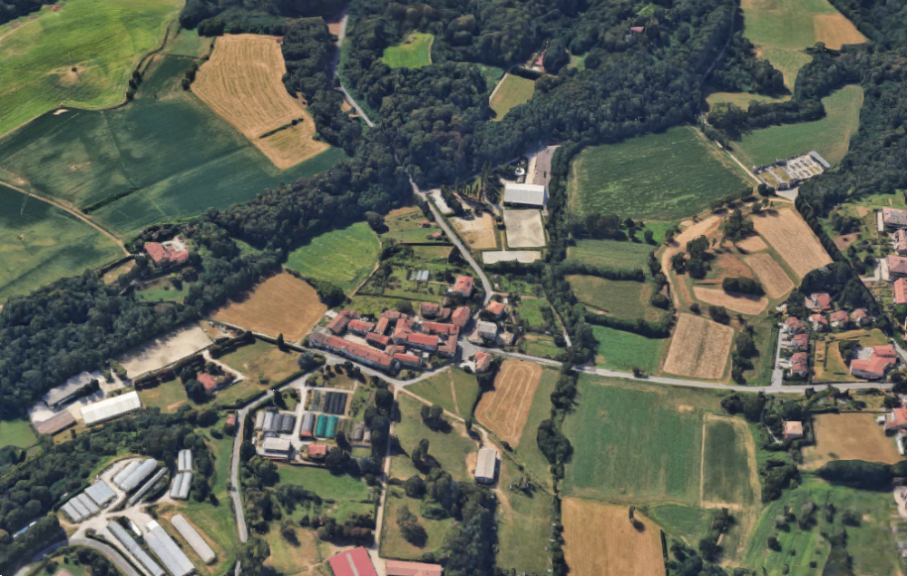 immagine annuncio 5 di 13