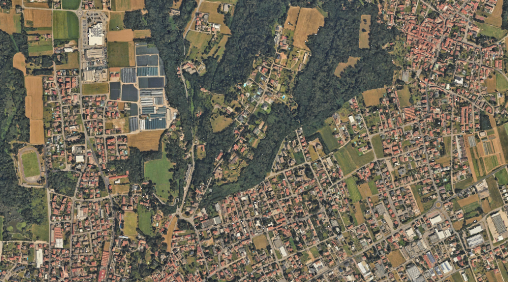 immagine annuncio 3 di 13