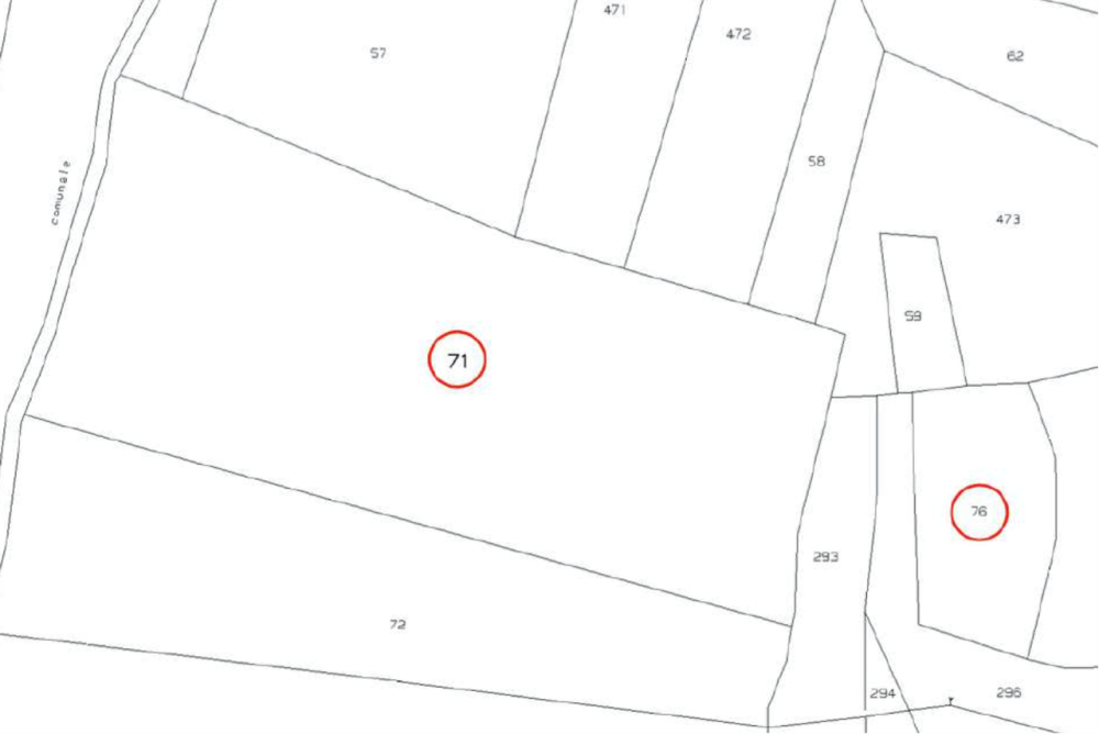 immagine annuncio 3 di 13