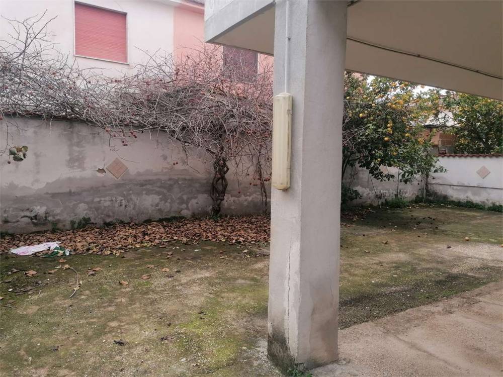 immagine annuncio 9 di 12