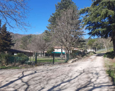 immagine annuncio 1 di 13