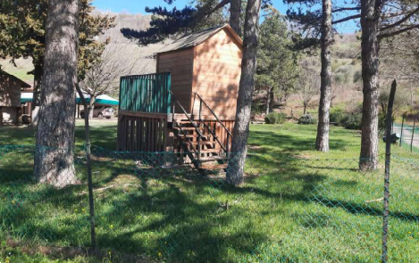 immagine annuncio 10 di 13