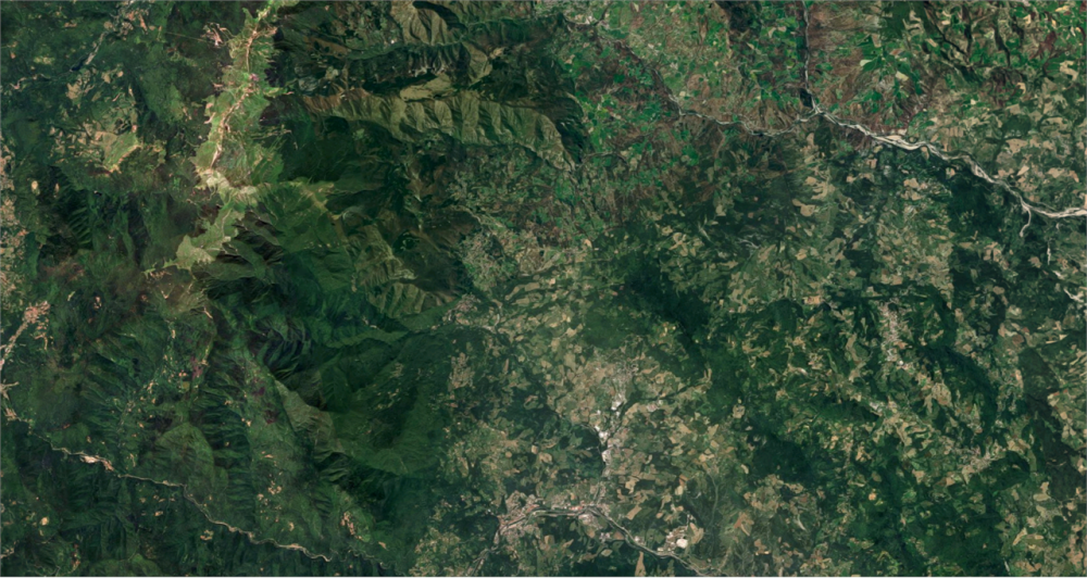 immagine annuncio 11 di 13