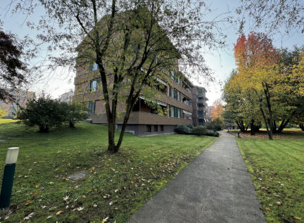 immagine annuncio 2 di 13