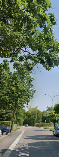 immagine annuncio 12 di 13