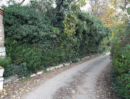 immagine annuncio 5 di 13