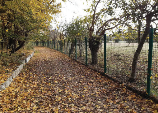 immagine annuncio 6 di 13