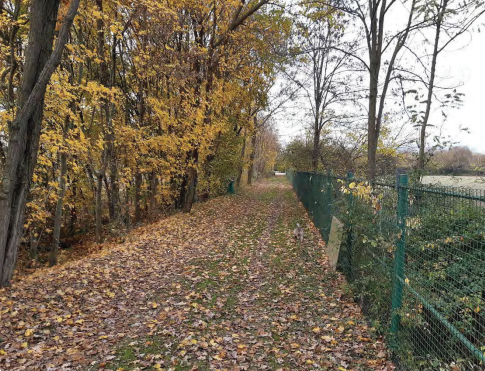 immagine annuncio 7 di 13