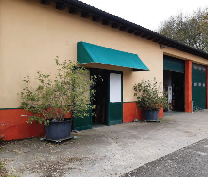 immagine annuncio 11 di 13