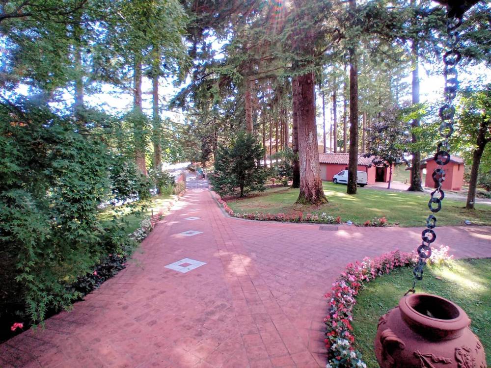 immagine annuncio 10 di 13