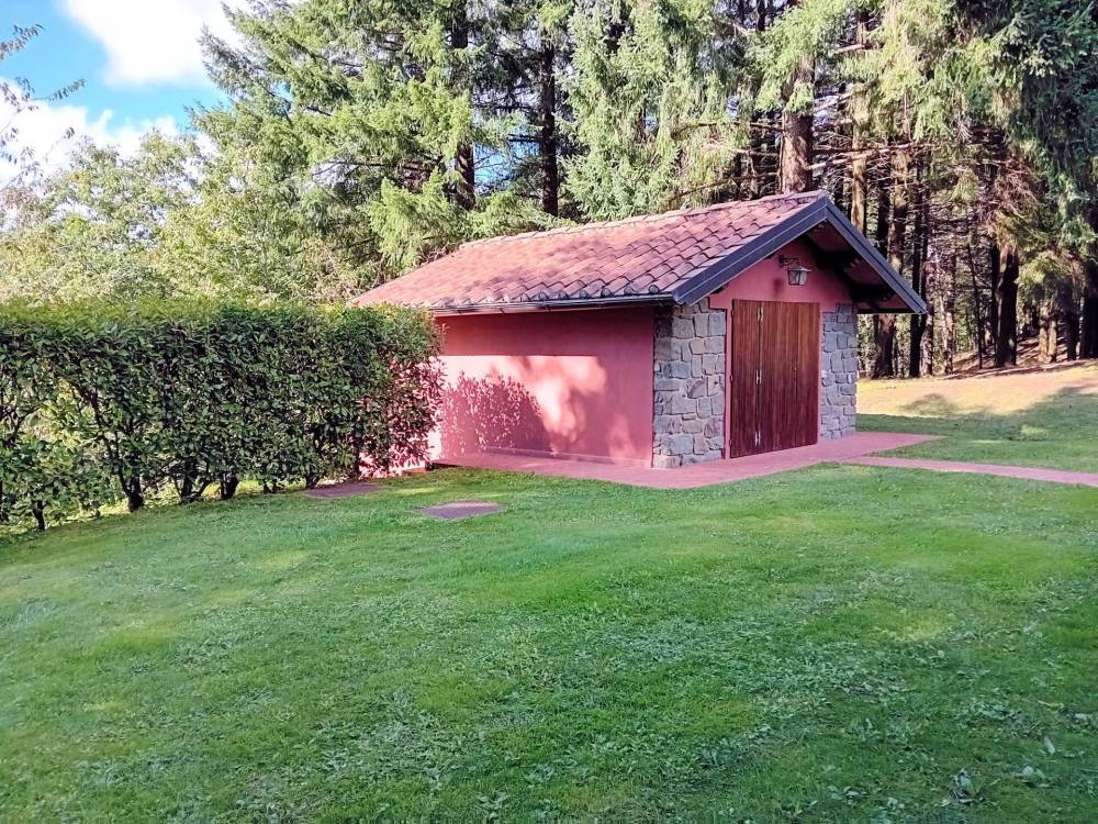 immagine annuncio 11 di 13