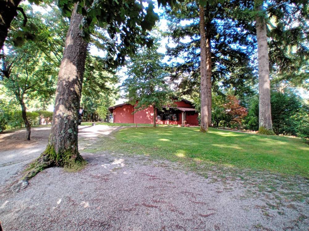 immagine annuncio 12 di 13