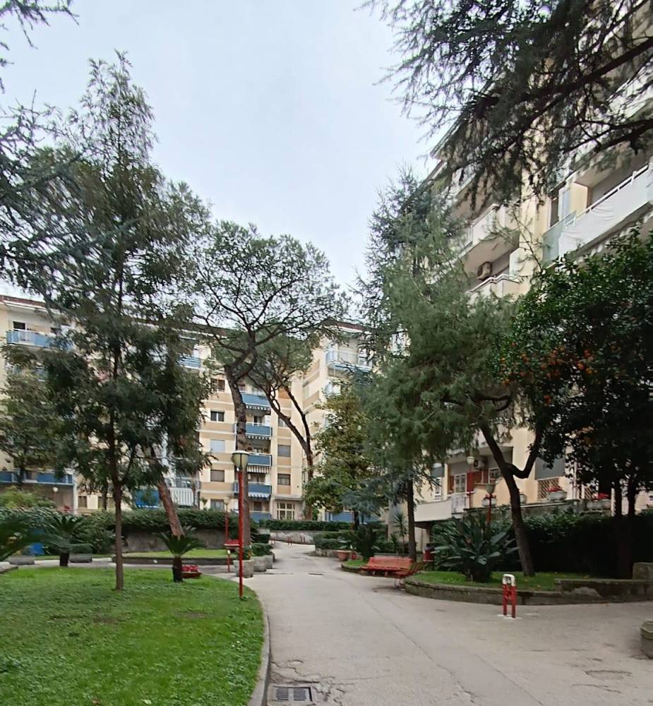 immagine annuncio 2 di 13